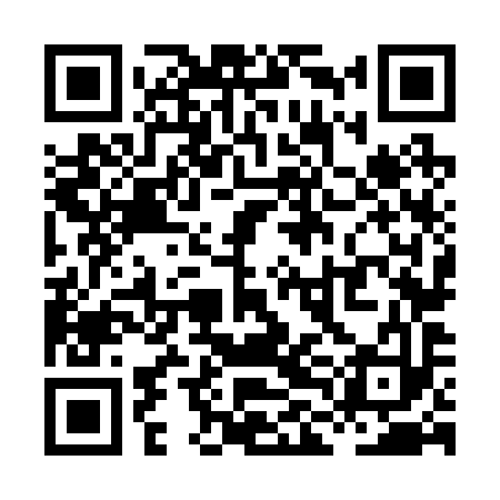 QR code for XLN293
