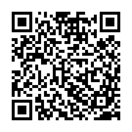 QR code for XPI447