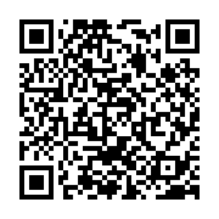 QR code for XQG239