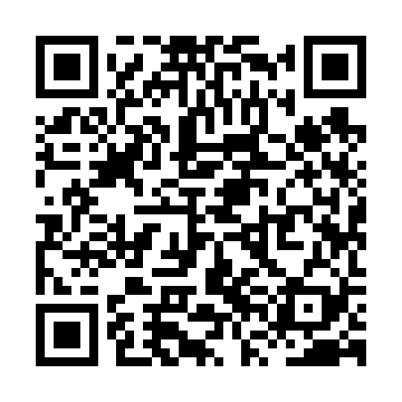 QR code for XVI629