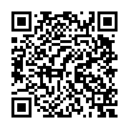 QR code for XXI413