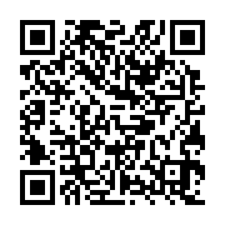 QR code for XYG333