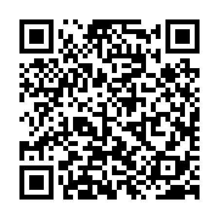 QR code for XYR238