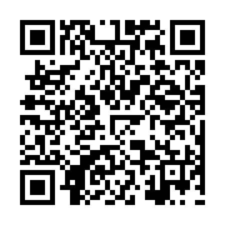 QR code for XZG295