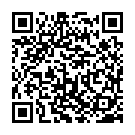 QR code for XZZ369