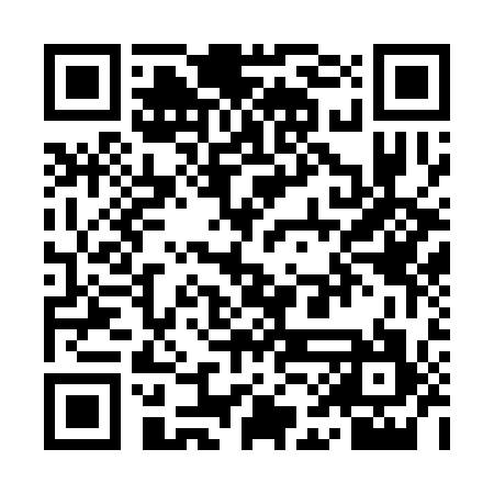 QR code for YAG317