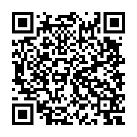 QR code for YAN462
