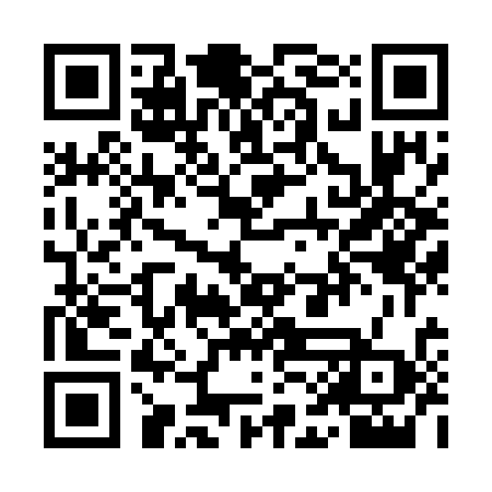 QR code for YAN738