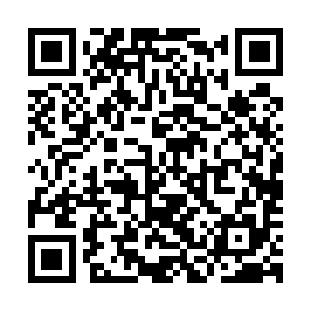 QR code for YCP595