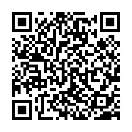 QR code for YDL038