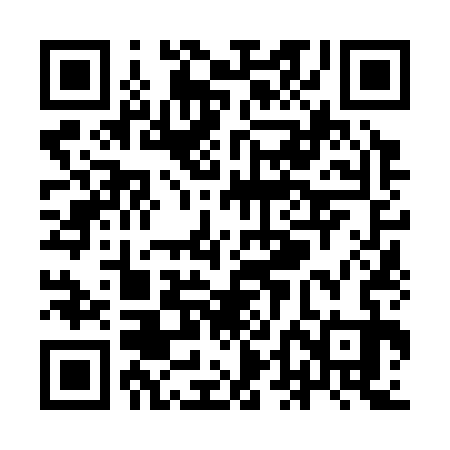 QR code for YDN333