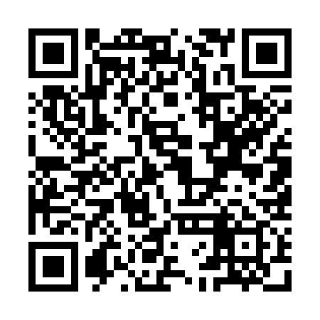 QR code for YFE339
