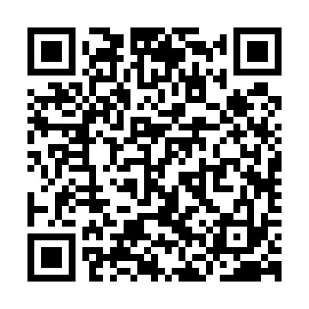 QR code for YFR533
