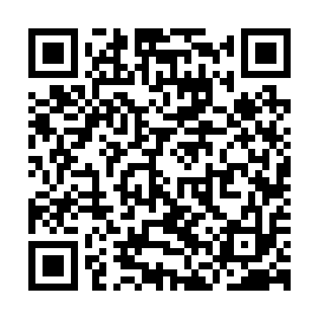 QR code for YFV213
