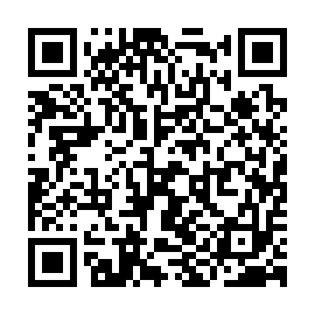 QR code for YIA313