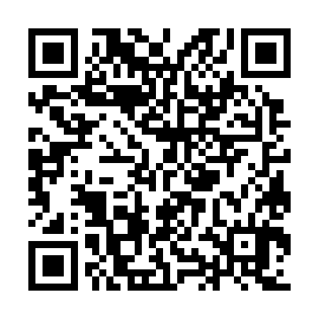 QR code for YIG384
