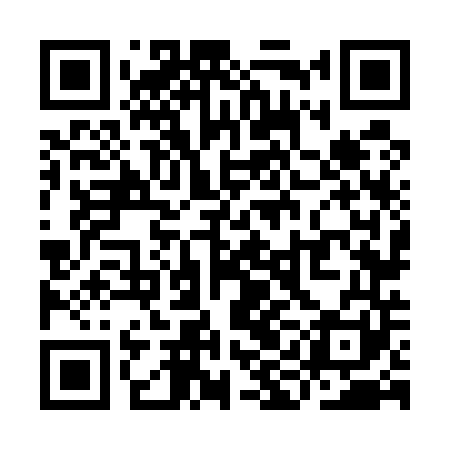 QR code for YIN541