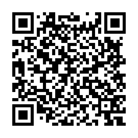 QR code for YIR873