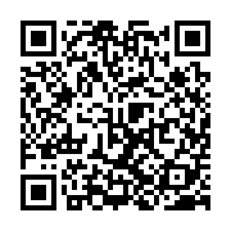 QR code for YJQ309