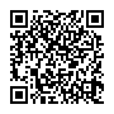 QR code for YLL339