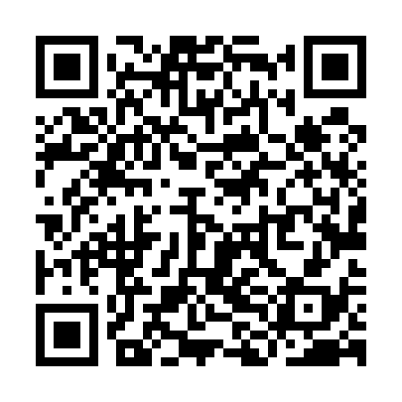 QR code for YLL538