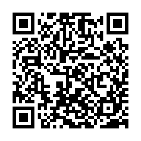 QR code for YNC384