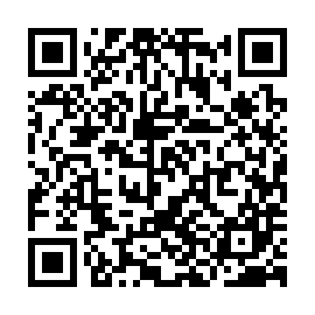 QR code for YNE387