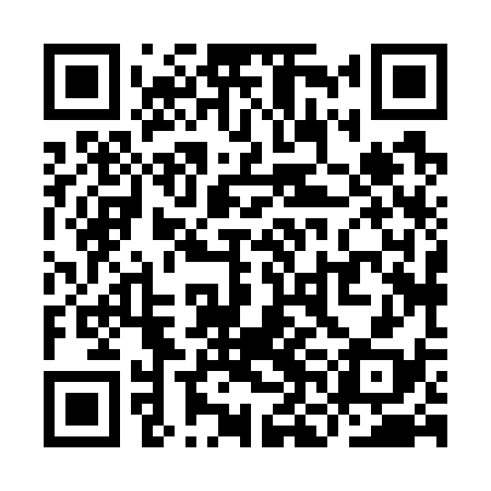 QR code for YNH738