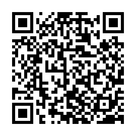 QR code for YNL211