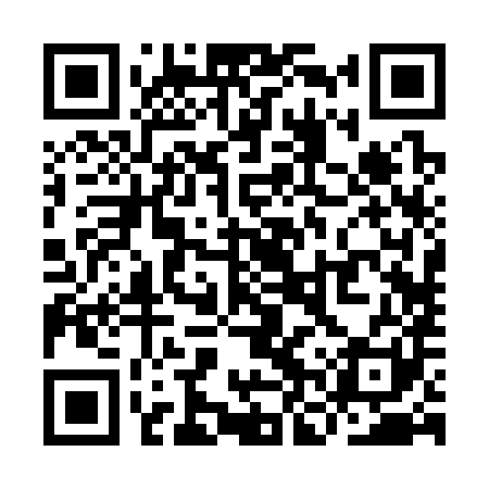 QR code for YNR381