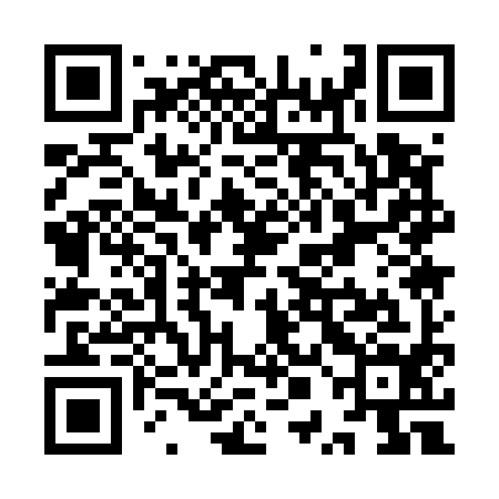 QR code for YPA594