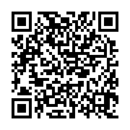 QR code for YPF384