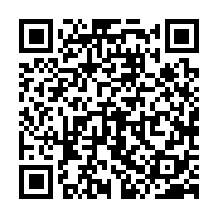 QR code for YPX378