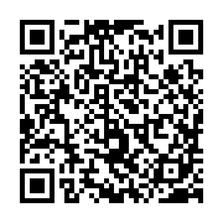 QR code for YQZ381