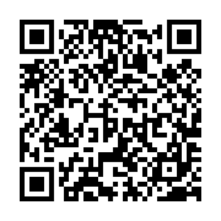 QR code for YUL497