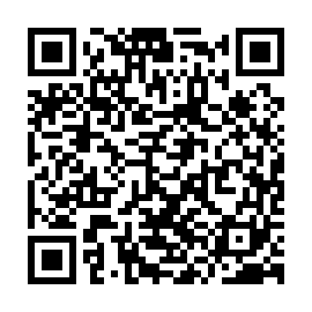 QR code for YVA161