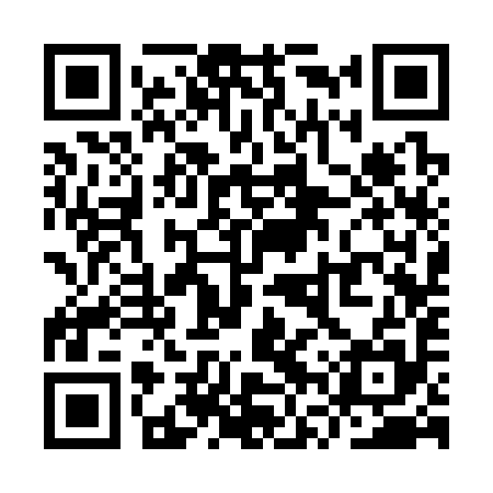 QR code for YVS395