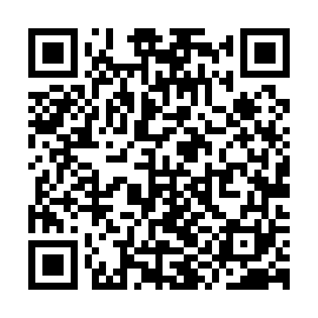 QR code for YYL161