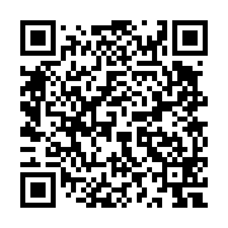 QR code for YYS499