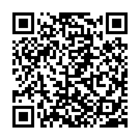 QR code for YZB238