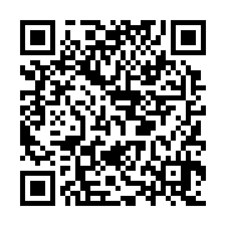 QR code for YZD334