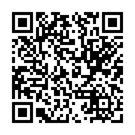 QR code for YZH384