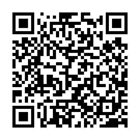 QR code for YZT691