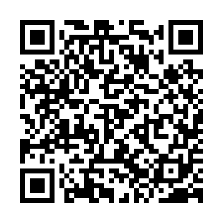 QR code for YZV251