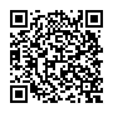 QR code for ZAM653