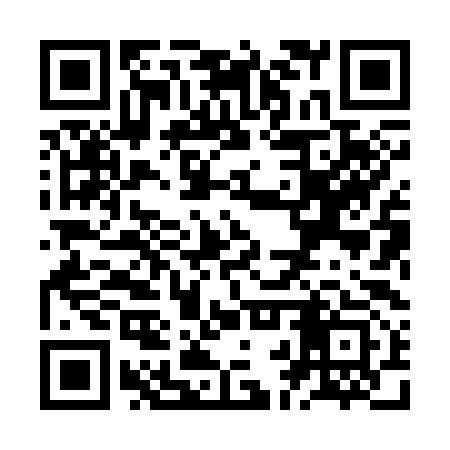 QR code for ZBX393