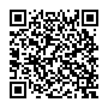 QR code for ZCK383