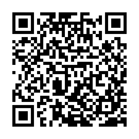 QR code for ZCK384