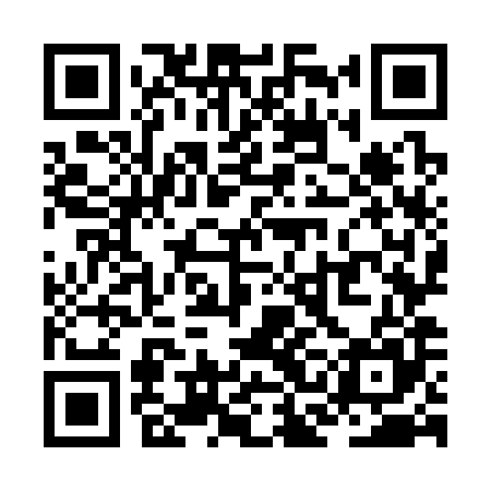 QR code for ZCO385