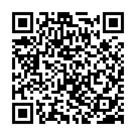 QR code for ZDC938